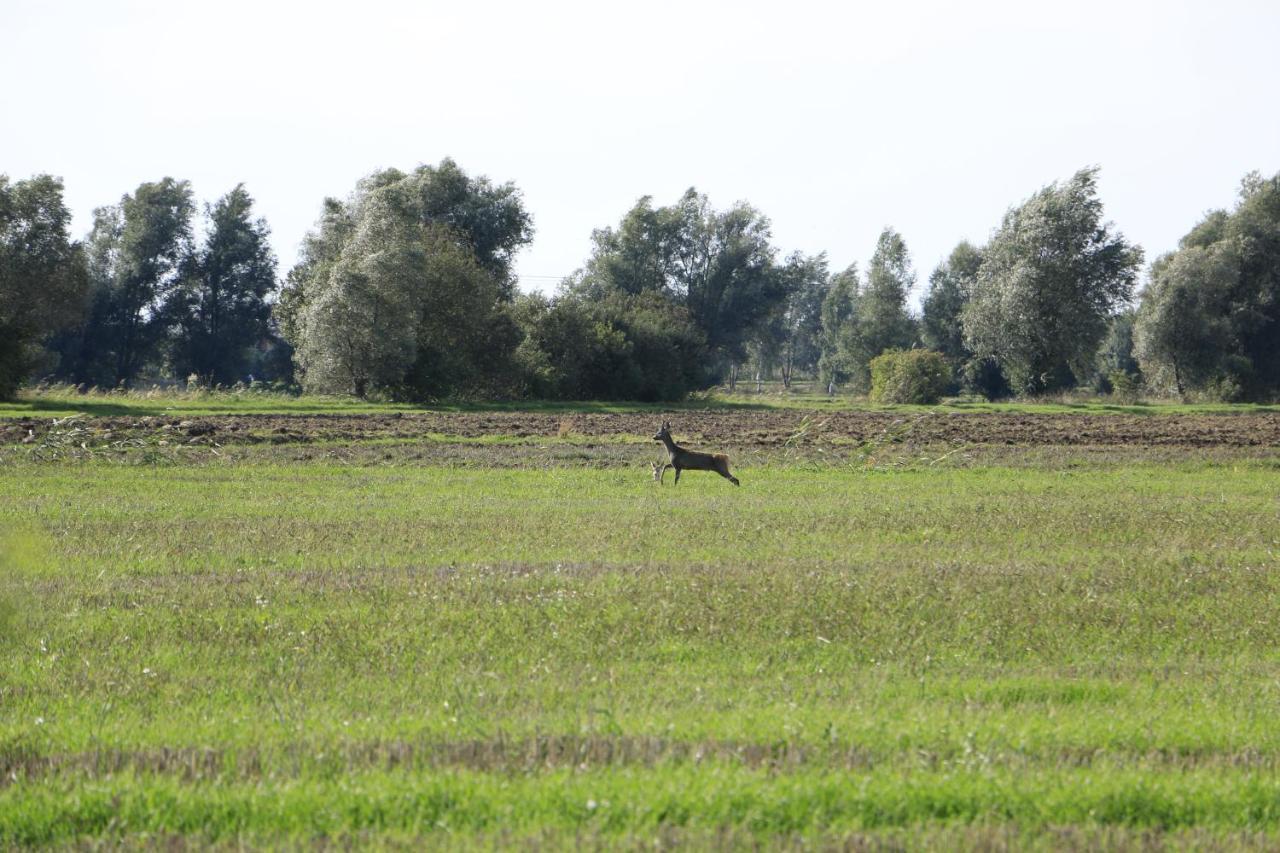 Agroturystyka Zulawiaczek Новы-Двур-Гданьский Экстерьер фото